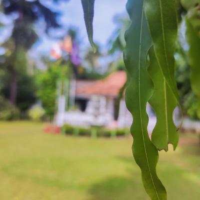 පාසල් වටපිටාව